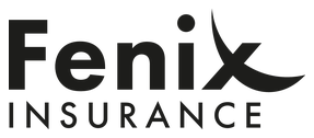 Fenix Insurance Fenix Insurance